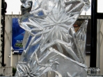 Star Luge 40x20 $450.00