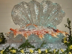 Oyster Shell 30x40 $550.00