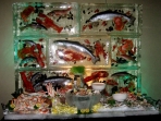 Seafood Wall 60x80 Custom