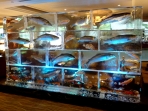 Salmon & Seafood Wall 7'x14' Custom